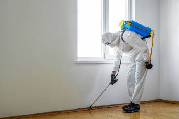 Best Bed Bug Extermination  in South Toms River, NJ